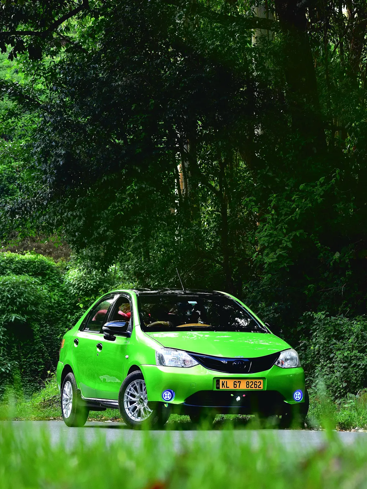 Munnar Trip Makers taxi on a shaded forest road