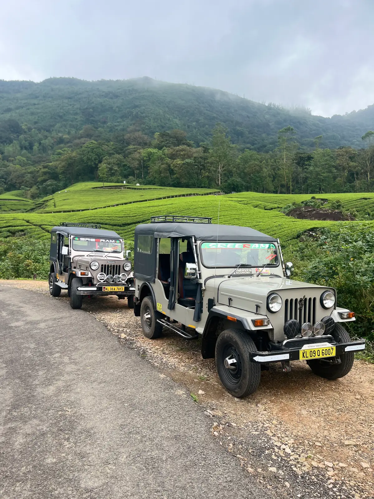 Munnar jeep safari to the wilder side. in Munnar, Kerala